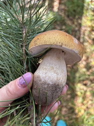 Similar image 22283744