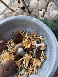 Similar image 22283746