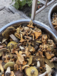 Similar image 22283747