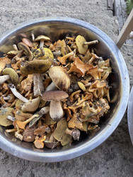 Similar image 22283748