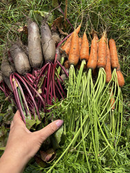 Similar image 22283750