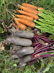 Similar image 22283751