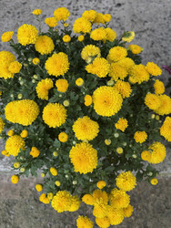 Similar image 22283753