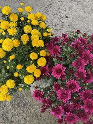 Similar image 22283754