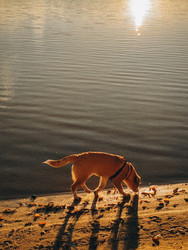 Similar image 22273084