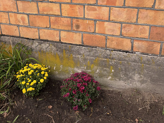 Similar image 22283506