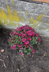 Similar image 22283507