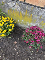 Similar image 22283755