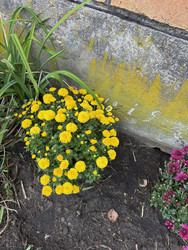 Similar image 22283756