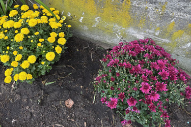 Similar image 22283757