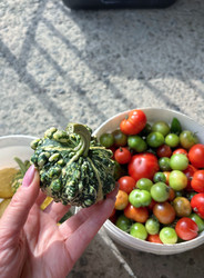 Similar image 22283760