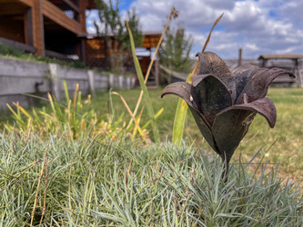 Similar image 22255106