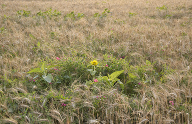 Similar image 22259898