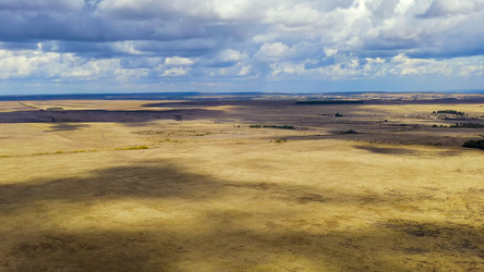 Similar image 22270433