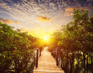 Similar image 22276798