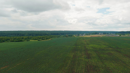 Similar image 22270166