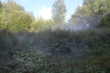 Similar image 22283862