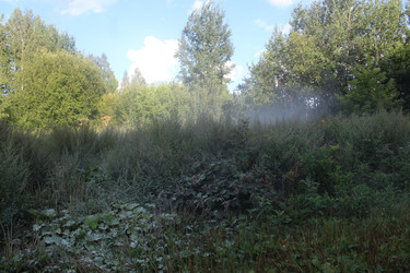 Similar image 22283863