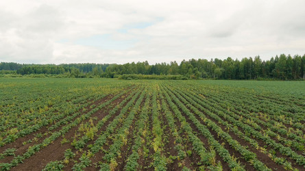 Similar image 22270506