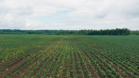 Similar image 22270508