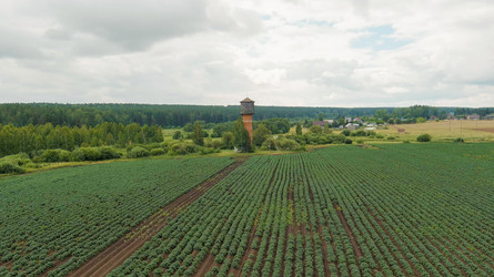 Similar image 22270512