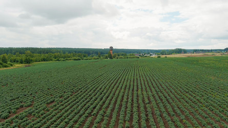 Similar image 22270514