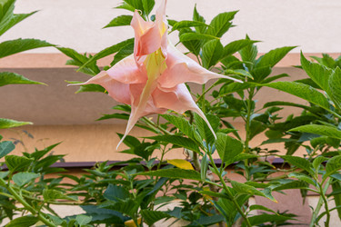 Similar image 22259956