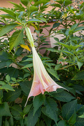 Similar image 22259957