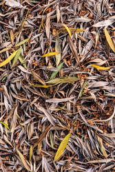 Similar image 22259958