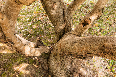 Similar image 22259959