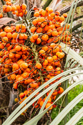 Similar image 22259960