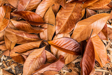 Similar image 22259961