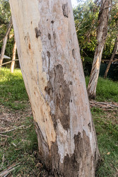 Similar image 22259968