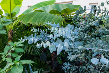 Similar image 22259969