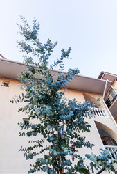 Similar image 22259970