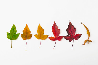 Similar image 22259829