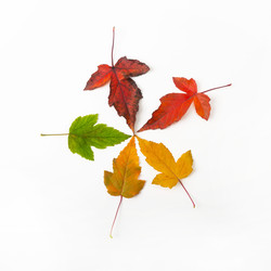 Similar image 22259830