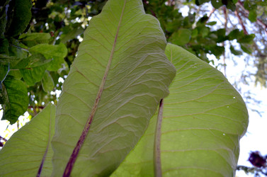 Similar image 22273275