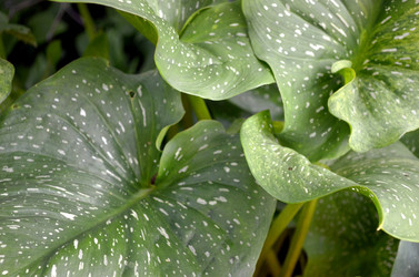 Similar image 22273276