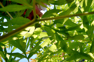 Similar image 22273277