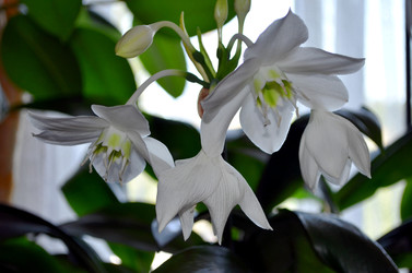 Similar image 22273279