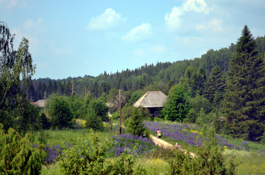 Similar image 22273280