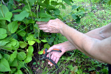 Similar image 22273282