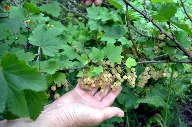 Similar image 22273284