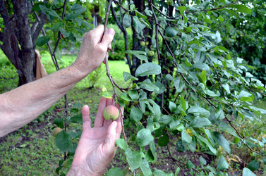 Similar image 22273285