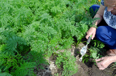 Similar image 22273286