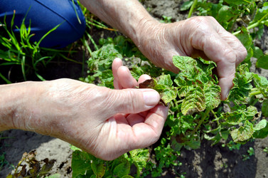 Similar image 22273287