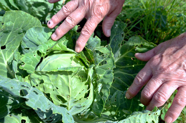 Similar image 22273288