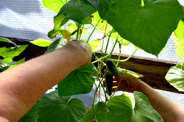 Similar image 22273289