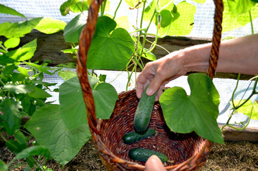 Similar image 22273290